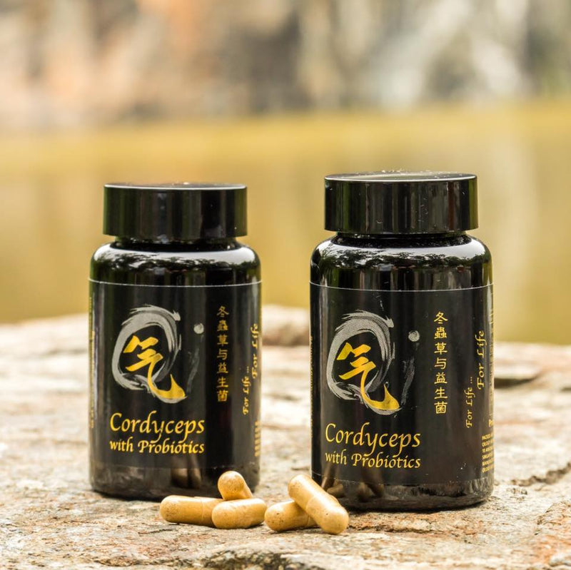 Cordyceps with Probiotics (60capsule)